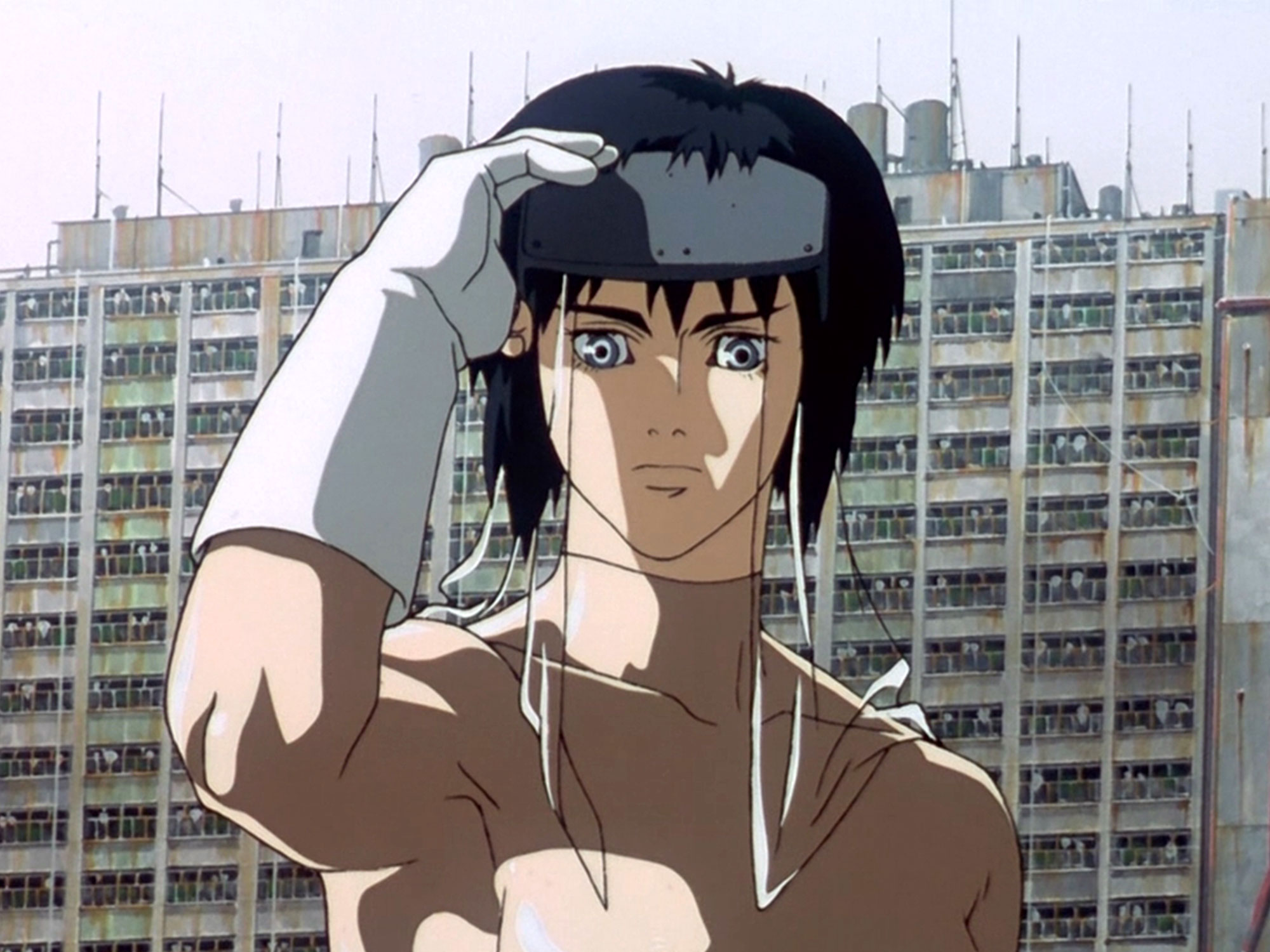 ghost in the shell 1995 doblaje