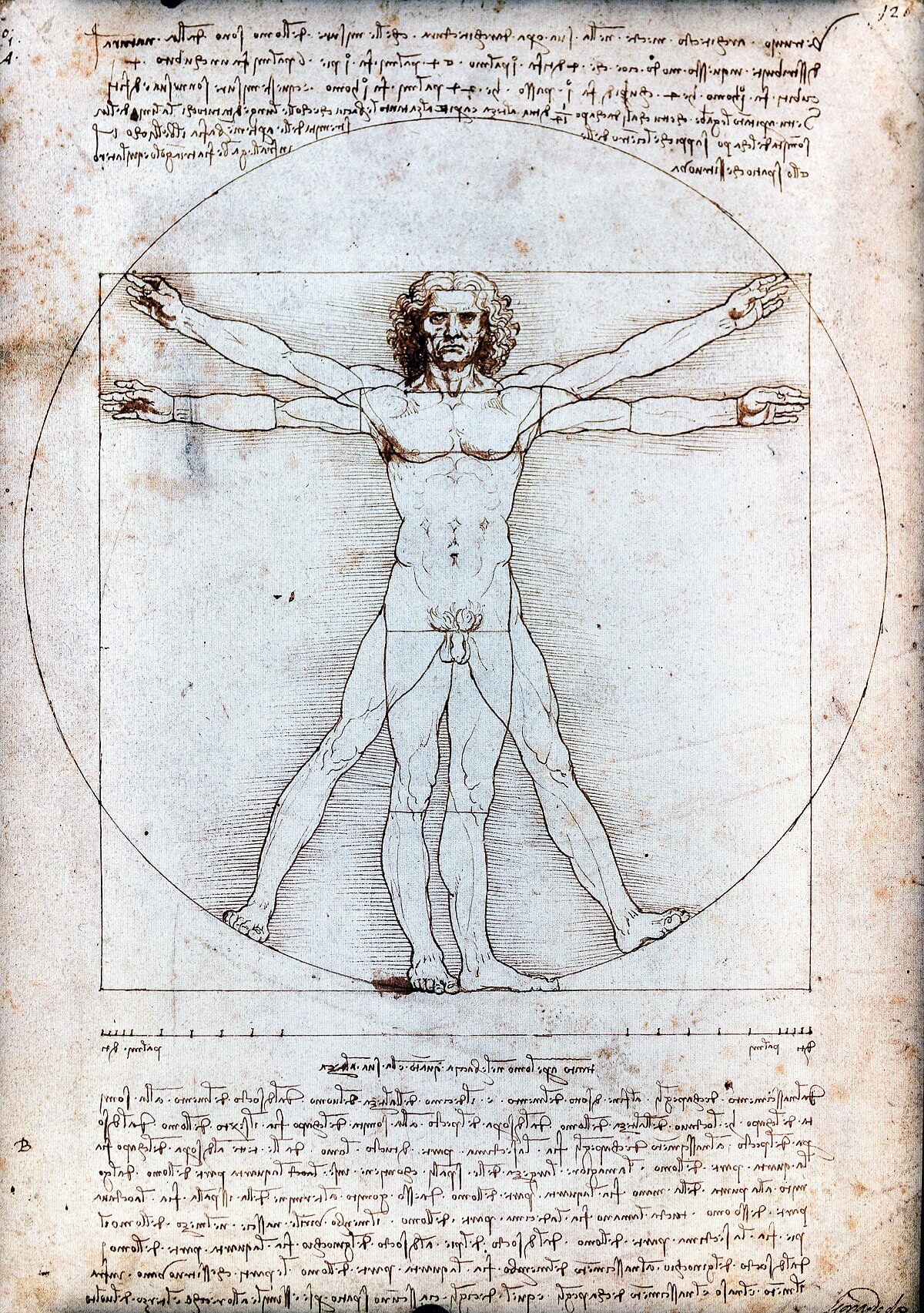 1200px-Vitruvian_Man_by_Leonardo_da_Vinci