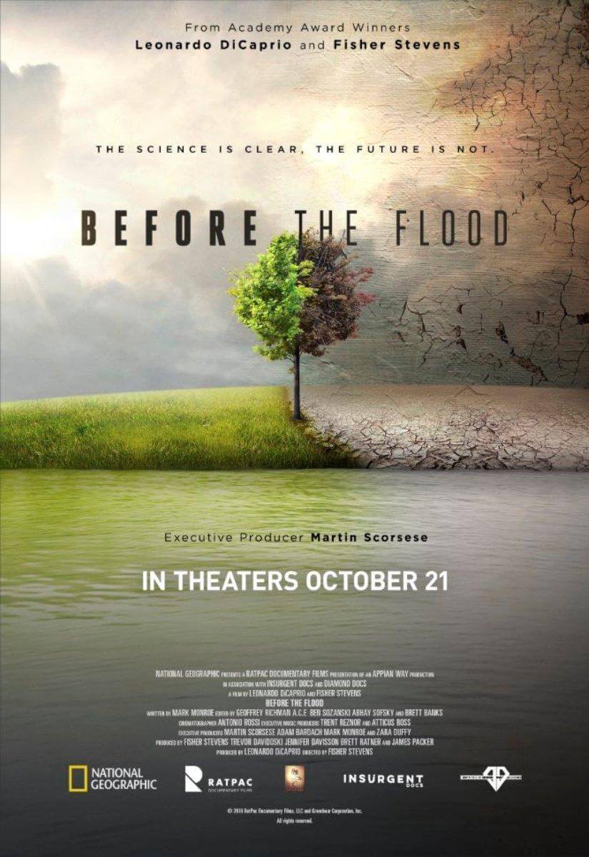 before-the-flood