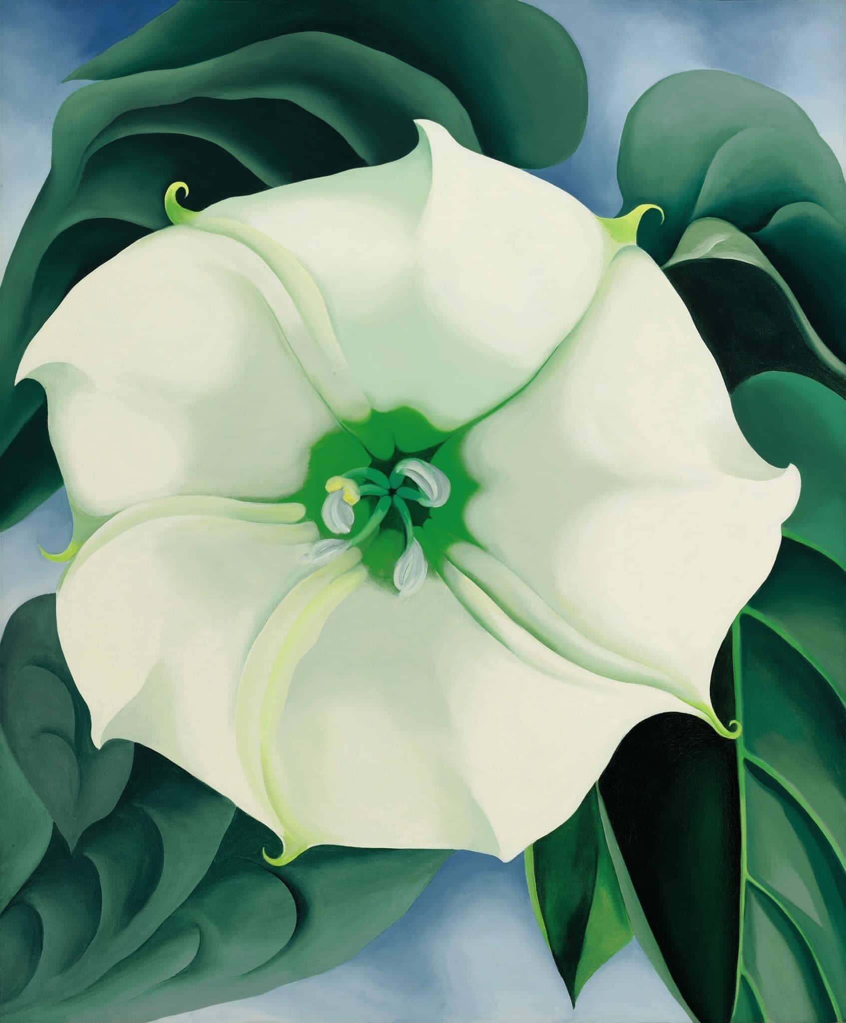 Jimson-WeedWhite-Flower-No.-1-Georgia-OKeeffe-1932-